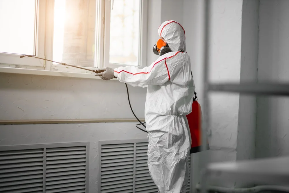 Professional mold remediation services in Wenonah, NJ